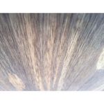 MKP000374000308-5