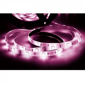 Fita LED 5W 60 LEDs/Metro 5M Luz Rosa Taschibra Bivolt IP67