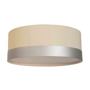 Luminária De Teto Plafon De Sobrepor Cru/Faixa Prata