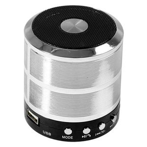 Mini Caixa De Som Speaker Com Bluetooth Usb Ws-887 Prata