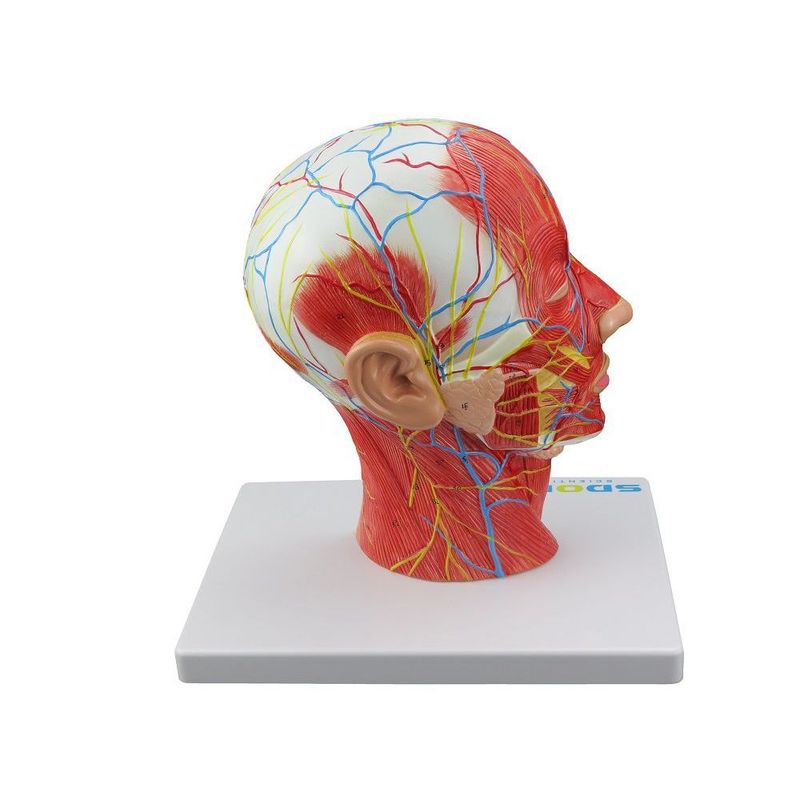 MKP001043000120-1