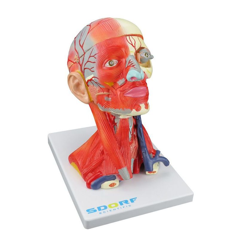 MKP001043000096-2