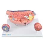 MKP001043000245-3