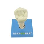 MKP001043000234-1