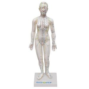 Manequim Acupuntura Feminino de 50cm