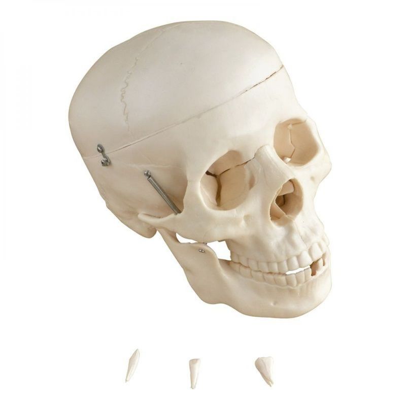 MKP001043000465-1