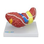 MKP001043000492-2