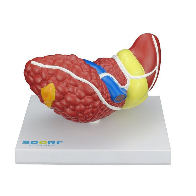 MKP001043000492-2