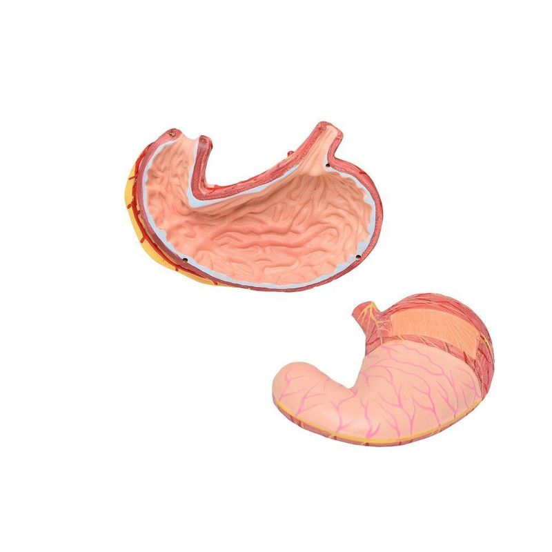 MKP001043000330-2