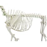 MKP001043000262-3
