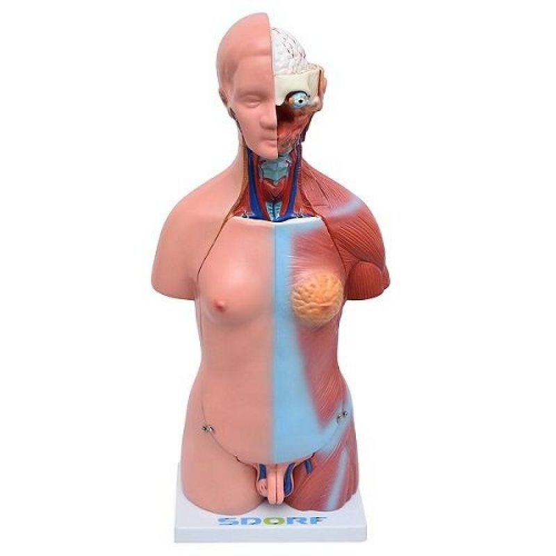 MKP001043000691-1