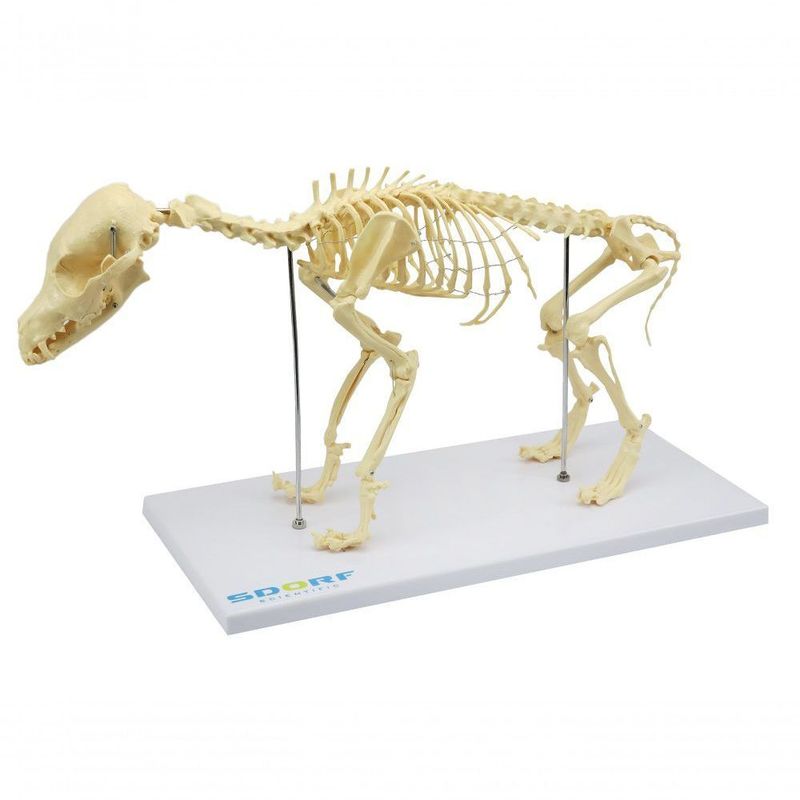 MKP001043000263-1