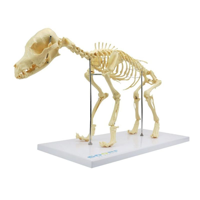MKP001043000263-2