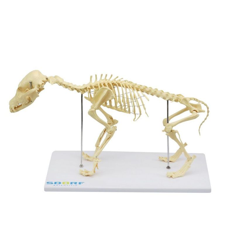 MKP001043000263-4