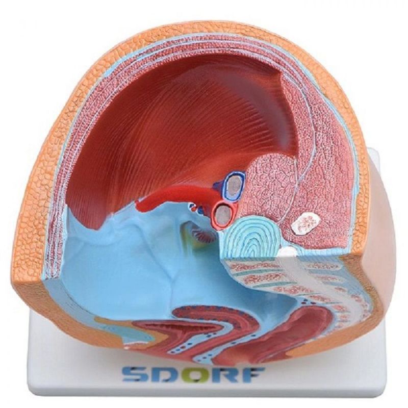MKP001043000566-2