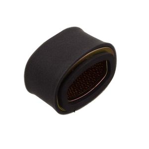 Elemento Filtro De Ar Eksim Burgman 125 I 2011/