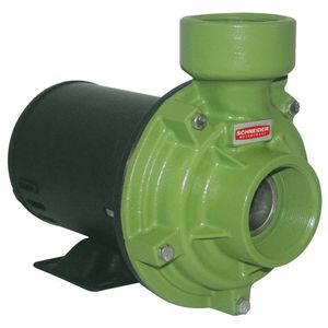 Bomba Centrífuga Monoestágio 3 Cv Bc-92s R 2.1/2 127/220v