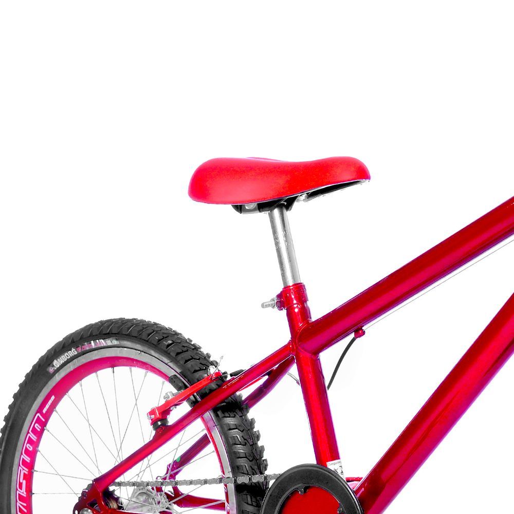 Bicicleta Infantil Masculina é na FlexBikes