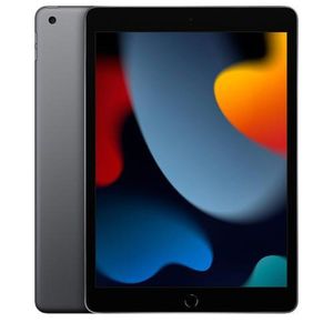Ipad Apple (9° Geração) A13 Bionic (10,2" Wi-fi 64gb) Cinza-espacial