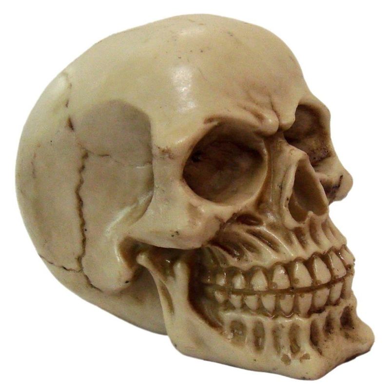 MKP004238000245-2