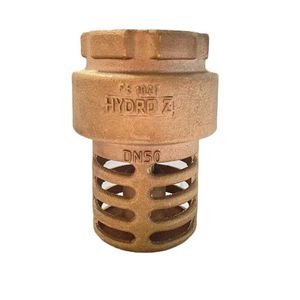 Valvula Pe Sucção De Bronze Hidro Z Tamanho 2"