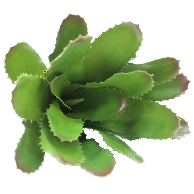 MKP004383007131-2