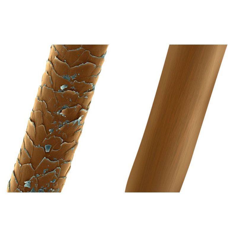 MKP002478000097-6