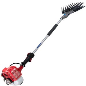 Derriçadeira Profissional Nakashi + 01 óleo Castrol Stihl 2t