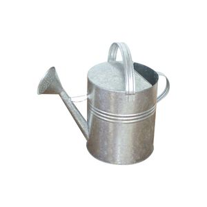 Regador Galvanizado 10 Litros Branco