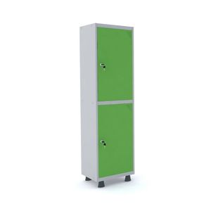 Roupeiro 2 Portas Aço Pandin Móveis Cinza/verde Miró