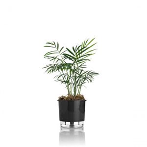 Vaso Autoirrigável Pequeno N02 12,6Cm X 11,4 - Clássicos Preto