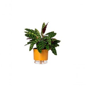 Vaso Autoirrigável Médio N03 16Cm X 14Cm - Terrazzo Arenito