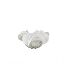MKP004542000343-1