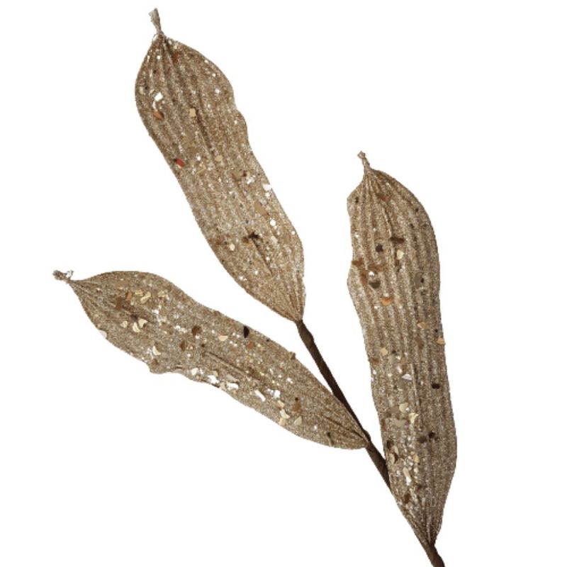 MKP004595001237-1
