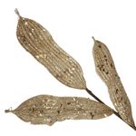 MKP004595001237-3