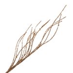MKP004595001248-3