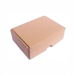 Caixa De Papelão Lisa 20x16x5cm Montável C50