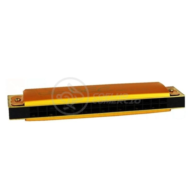 MKP003879002040-3