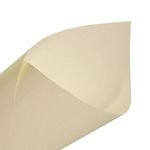 MKP004321000061-1