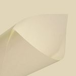MKP004321000061-2