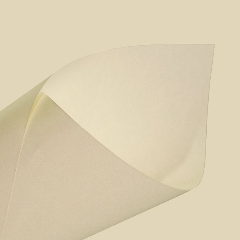 MKP004321000061-2