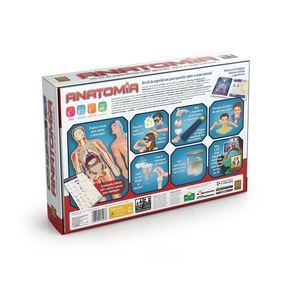 Jogo De Experiência Infantil - Órgãos E Corpo Humano - Anatomia - Grow
