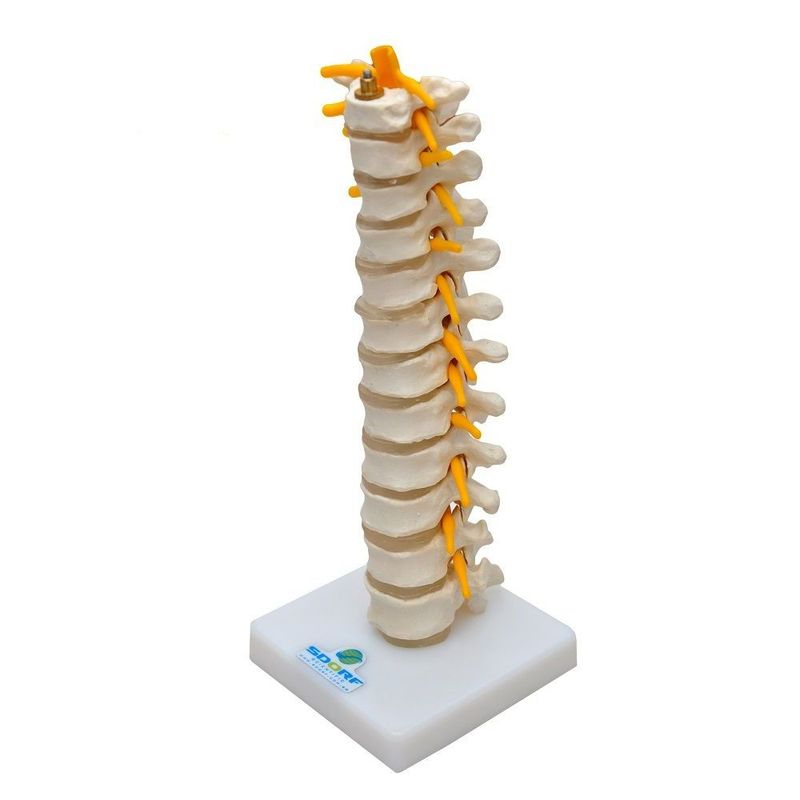 MKP001043000153-2