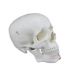 MKP001043000208-4