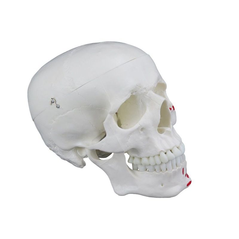 MKP001043000208-4