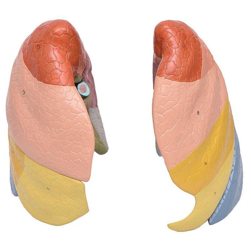 MKP001043000594-3