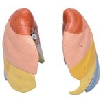 MKP001043000594-3