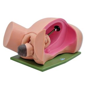 Simulador Médico Parto Clássico Sdorf