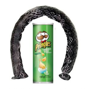 Pote De Batatas Que Pula Cobra Q Cor Verde Escuro