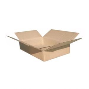 Kit 50 Caixas De Papelão Lisas Mini Pac 24x15x4cm Montável C61